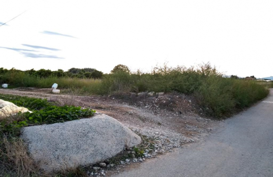 PARCELA RUSTICA EN VINARÒS