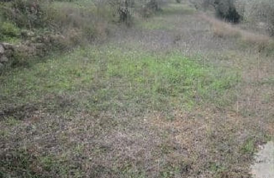 FINCAS RUSTICAS EN CERVERA DEL MAESTRE
