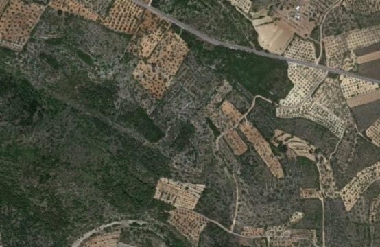 PARCELA RUSTICA EN CERVERA DEL MAESTRE