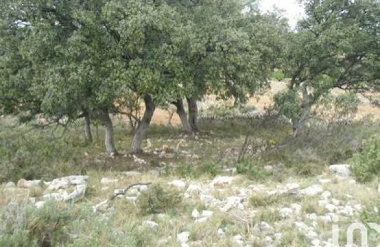 Parcela rústica en Canet lo Roig